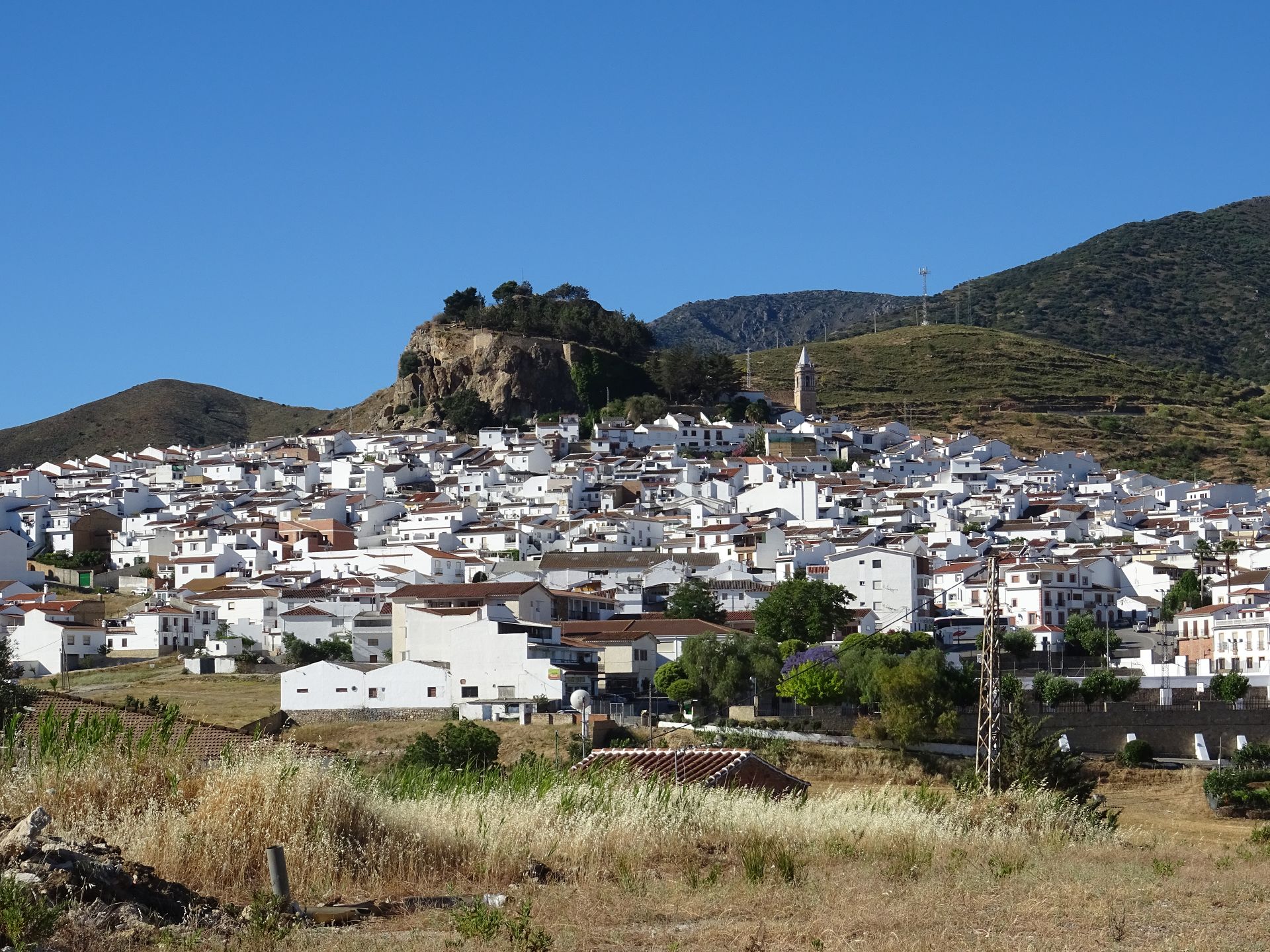 Ardales